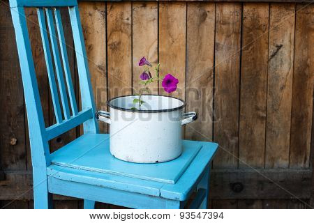 Flower In Saucepan