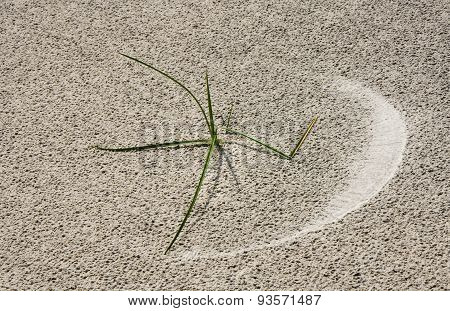 Leaving My Mark
