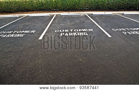 Empty Customer Parking Lot
