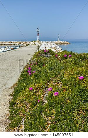 Spring flowers and pier in Skala Sotiros, Thassos island, East Macedonia and Thrace, Greece