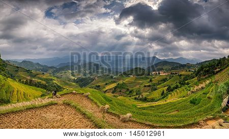 Rice fields in terraced with beautiful curves on high mountain La pan ten Yei bai Veitnam