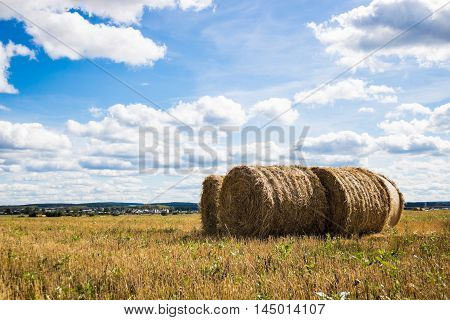 Straw Bales Harvest on Stubble field under blue sky
