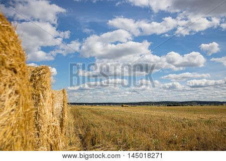 Straw Bales Harvest on Stubble field under blue sky