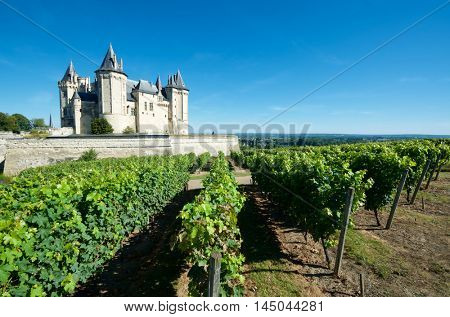 Saumur castle and Loire River, Loire Valley, France. Saumur Castle was built in the tenth century and rebuilt in the late twelfth century.