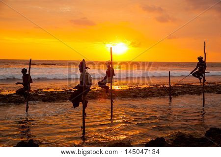 AHANGAMA - NOVEMBER 27 : Still fisherman's fishing fish at sunset on November 27 2015 in Ahangama Sri Lanka