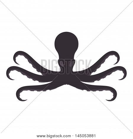 octupus sea animal marine seafood nature vector illustration