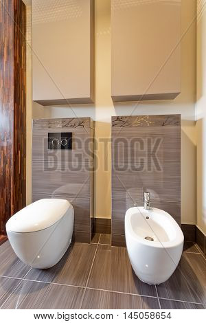 Toilet And Bidet