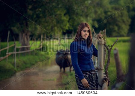 Thai woman wearing typical Thai dress on Rice fields Buffalo River background identity culture of Thailand