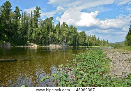 The Shchugor river in the Northern Urals. National Park Yugyd VA. The object of UNESCO world heritage site Virgin Komi forests.