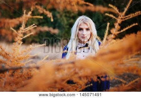 A woman dressed in a blue vintage dress stays in the autumn park behind larch branches.