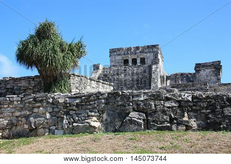 The Coba - Ruins Of The Mayan City In Mexico.