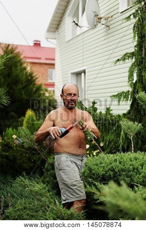 Man gardener (60 years old) with clippers in hand making art cutting juniper. Selective focus.