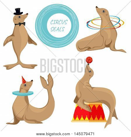 Set of seals in the circus: a ball, a Hoop, a cylinder, the collar