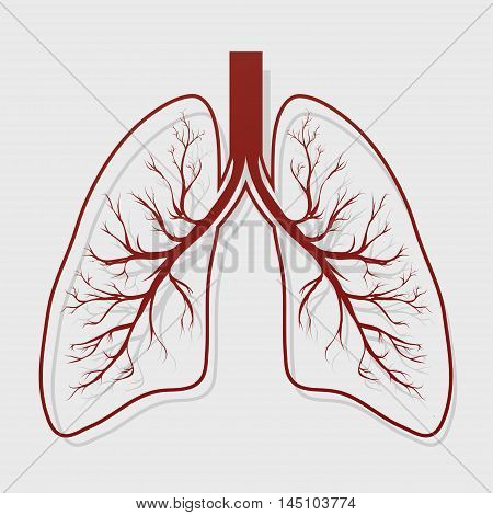 Human Lung anatomy illustration . Illness respiratory cancer graphics. Vector