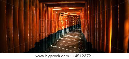 Fushimi Inari Taisha Shrine in Kyoto Japan panorama