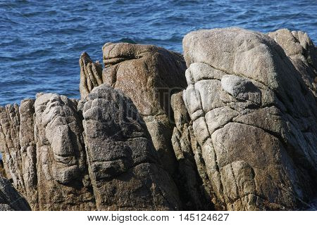 This is an image of rocks near the shore at Asilomar State
Preserve in Pacific Grove, California, U.S.A.