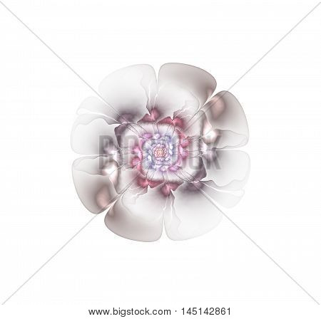 Abstract fractal grey flower computer generated image
