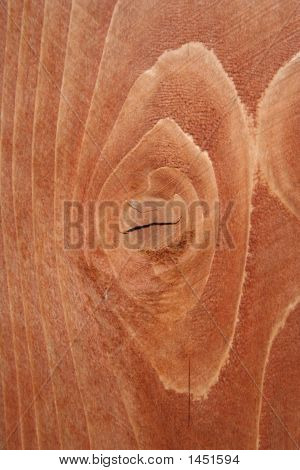 Venatura del legno
