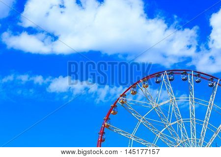 ferris wheel in the park with trees