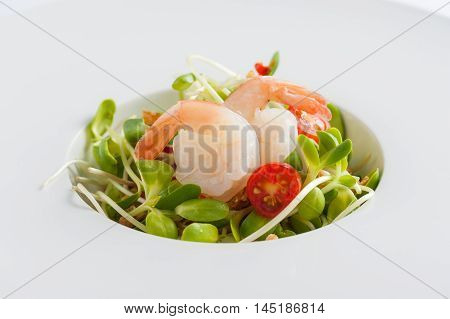 Modern style sunflower sprout salad with shrimp in ceramic dish