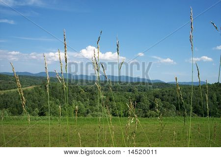 Dolina góra Blueridge