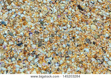 Shell beaches on the Black Sea coast. Opuksky Reserve is located on the southern coast of Kerch Peninsula.