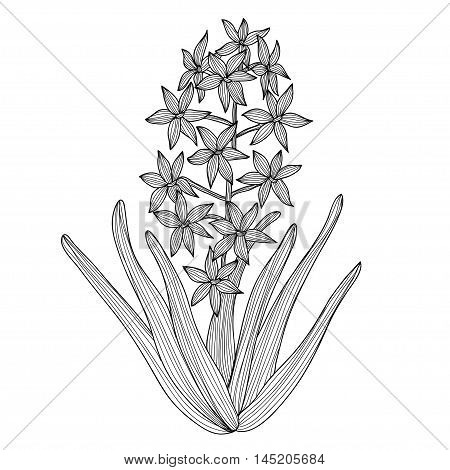 Floral Decoration