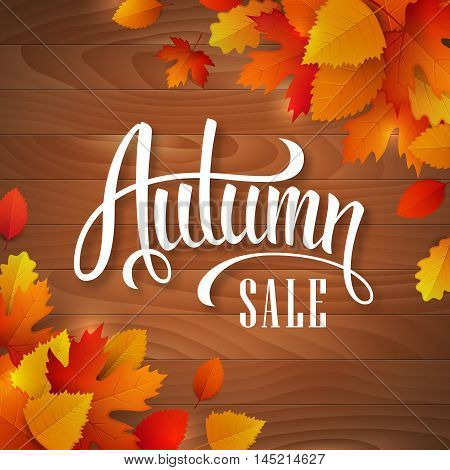 Vector autumn sale banner with hand drawn lettering and colorful leaves on a wooden background.