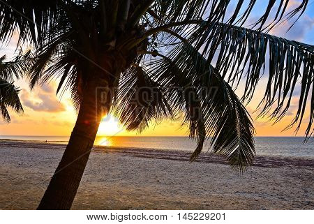 Evening Coast Diani