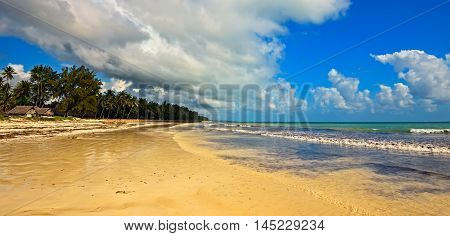 Picturesque Coast Diani