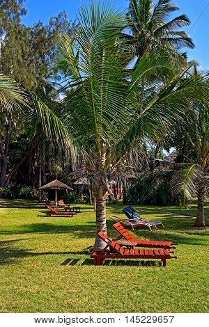 Picturesque Coast Diani