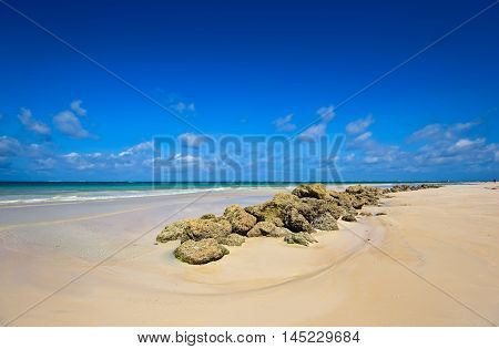 Picturesque Coast Diani