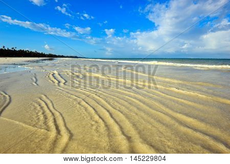 Picturesque Coast Diani