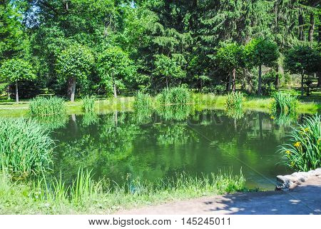 picturesque small lake in  St. Petersburg.