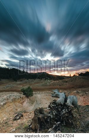 Storm clouds in a bleak landscape at sunset in the National Park of Ifrane, Morocco. in the foreground is a snag.