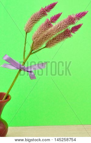 Purple flowers tied with a purple bow displayed in a maroon flower pot isolated on a green background