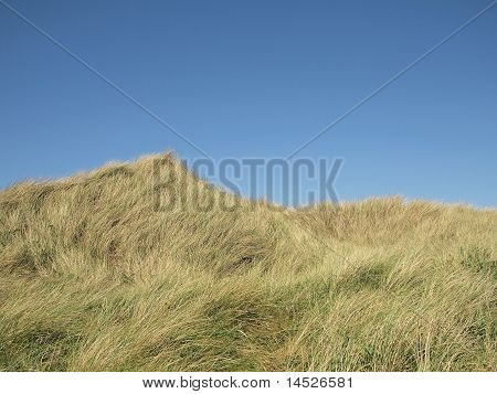 klitterne under blå himmel
