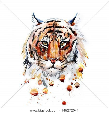 Adult tiger graphic icon vector hand, cartoon, bengal, animal, wildlife