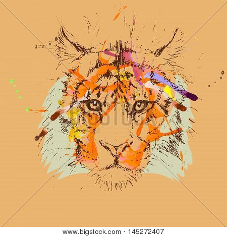 Adult Tiger Graphic, Icon, Vector