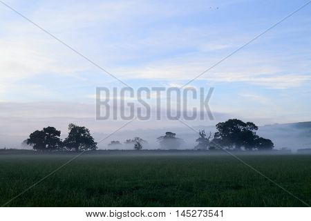 Morning mist over farmland in Axe Valley, Devon