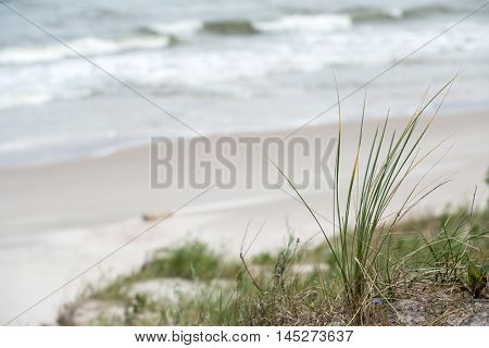 Baltic sea