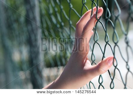 Female Hand Holding on to a Fence
