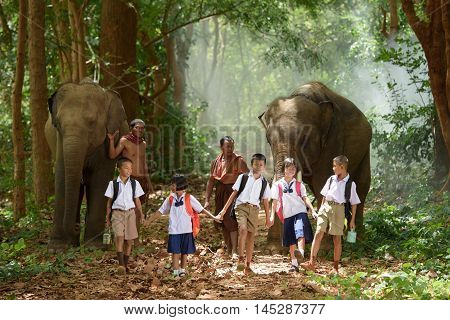students go back home after learning by walking with friend father and their elephant