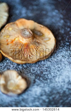 Saffron Milk Cap musrooms cooked on a wooden stove