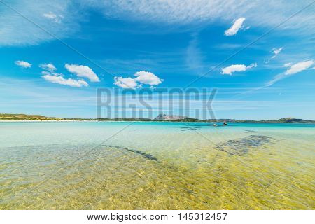 Lu Impostu beach under a blue sky Sardinia