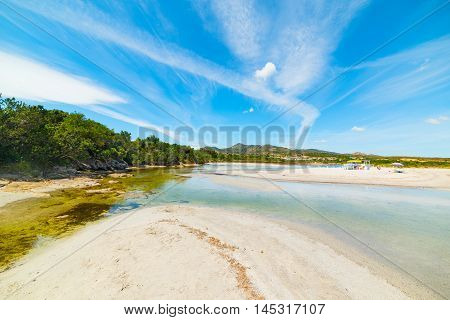 white sand in Lu Impostu beach Sardinia