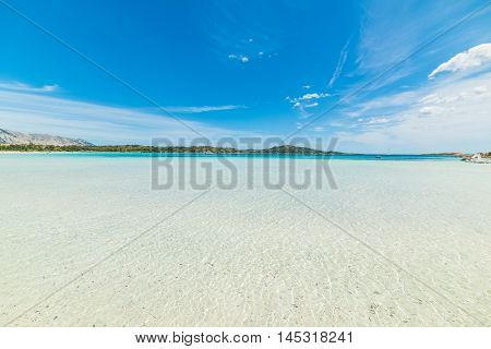 Cala Brandinchi under a blue sky in the summertime