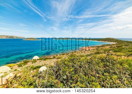 view of beautiful Capo Coda Cavallo Sardinia