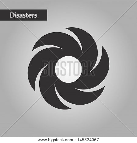 black and white style nature weather vane