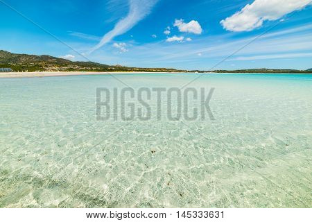 clear water in Lu Impostu beach Sardinia